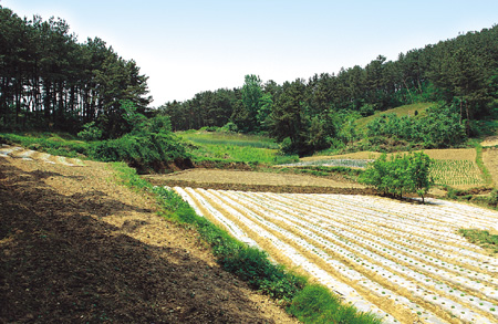12운산리